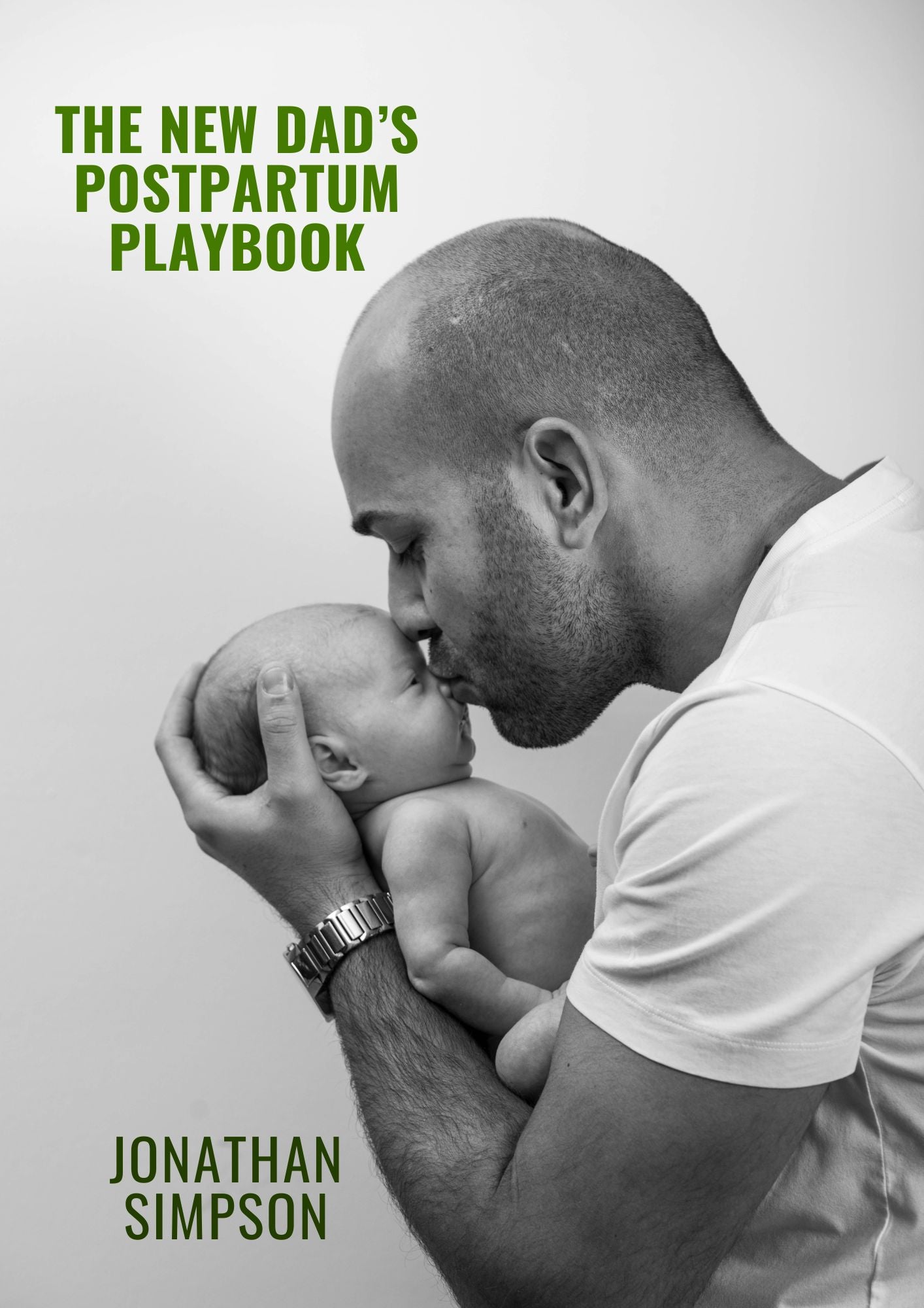 The New Dad's Postpartum Playbook